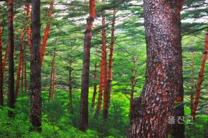 인사발령