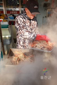 죽변항 잡어
