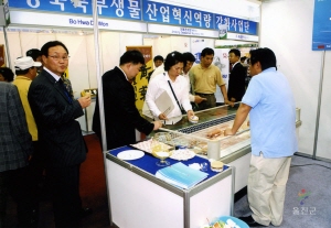 대구 엑스포